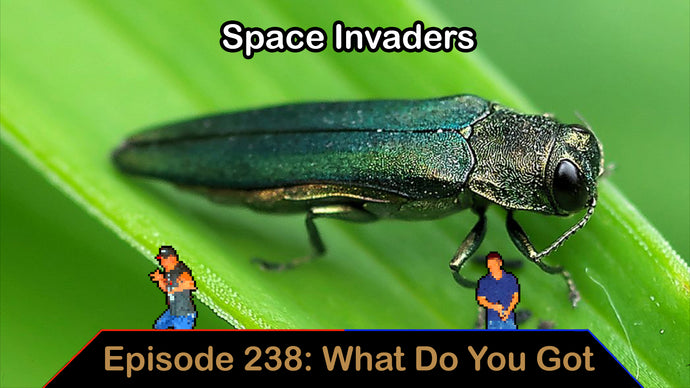 Space Invaders - Ep. 238 - What Do You Got