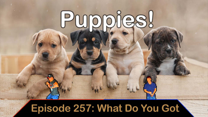 Puppies! - Ep. 257 - What Do You Got