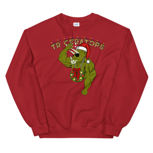 Triceratops Special Ugly Christmas Sweater Workout Apparel Funny Merchandise