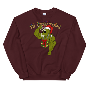 Triceratops Special Ugly Christmas Sweater Workout Apparel Funny Merchandise